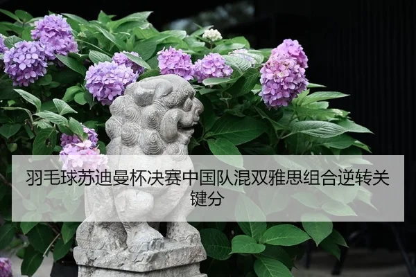 yu-mao-qiu-su-di-man-bei-jue-sai-zhong-guo-dui-hun-shuang-ya-si-zu-he-ni-zhuan-guan-jian-fen-2-714.jpg