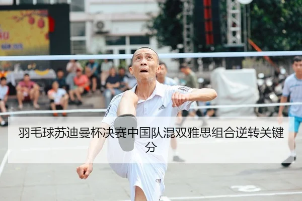 羽毛球苏迪曼杯决赛中国队混双雅思组合逆转关键分