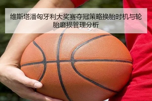 维斯塔潘匈牙利大奖赛夺冠策略换胎时机与轮胎磨损管理分析